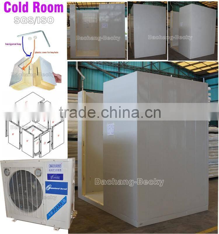 Standard freezer room DCWF-15 to store meat,chicken and fish