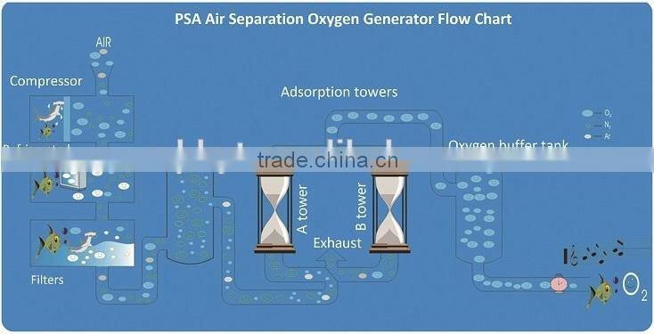 PSA Oxygen Plant with Experienced Supplier