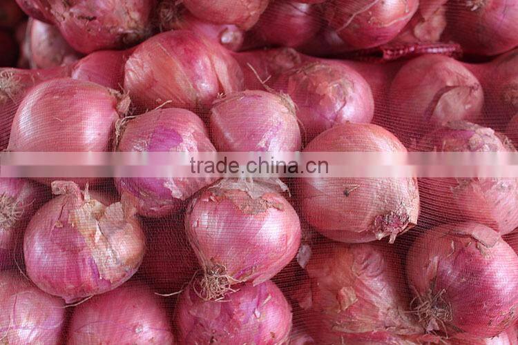 China onion at good price of per ton