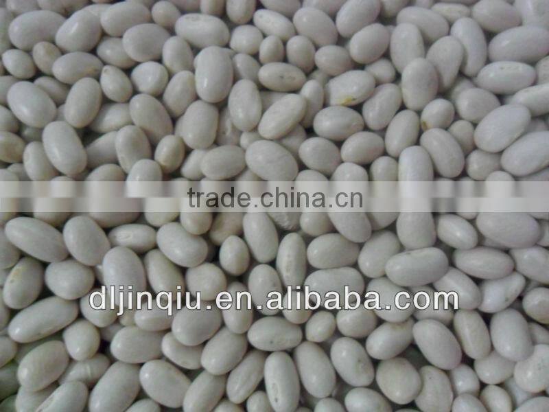 2015crop White kidney bean