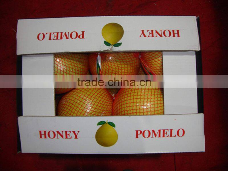 Chinese fresh pink pomelo for sale