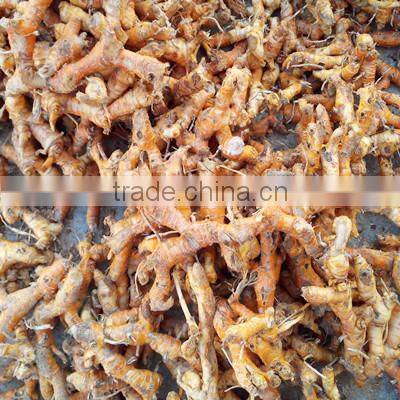 Factory Price Qalangal-root
