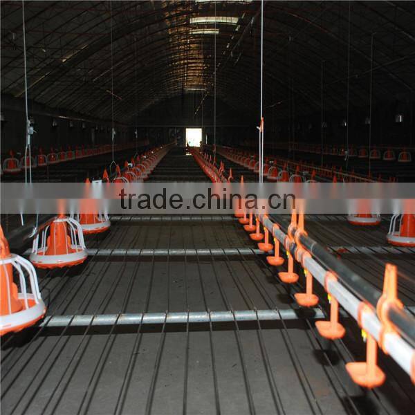 Automatic poultry farm equipment for chicken broiler