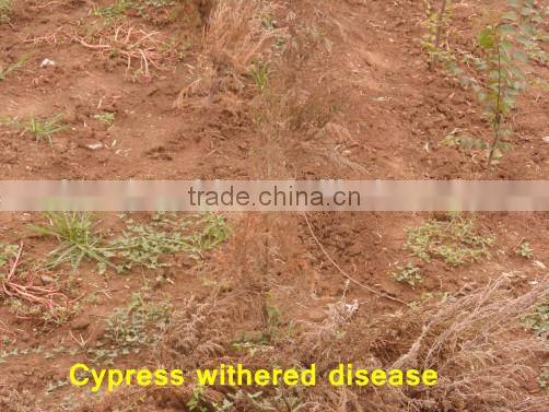 Compound Microbial Fertilizer For Root (Liquid)