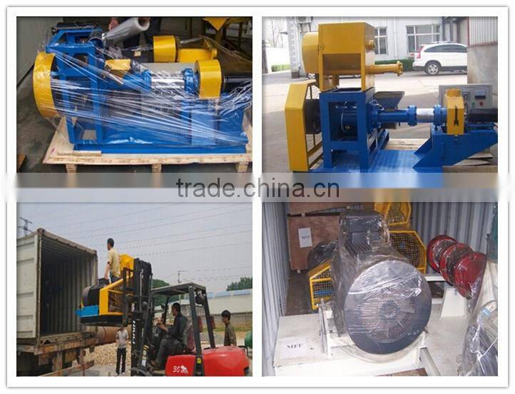 China top quality factory price tropical fish bottom feeders