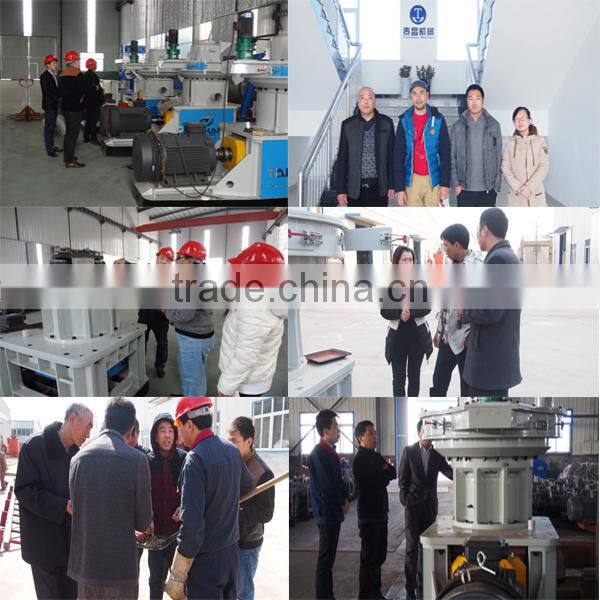 Sinking fish feed poultry feed pellet machinery