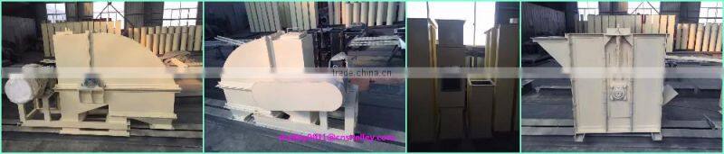 z type food grade bucket elevator