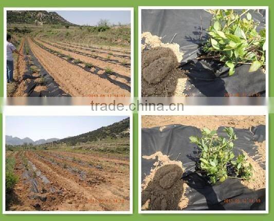 TNT non woven fabric for tablecolth