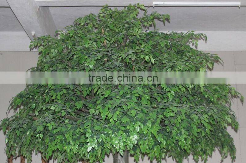 SJ11 Artificial banyan tree manufacturer in Guangzhou