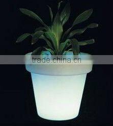 hot selling flashing led fruit plate