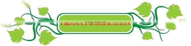 ST551&ST552&ST553 Iron Metal Varnish Sprayed Treatment Agricultural Tools&Garden Bushhammer