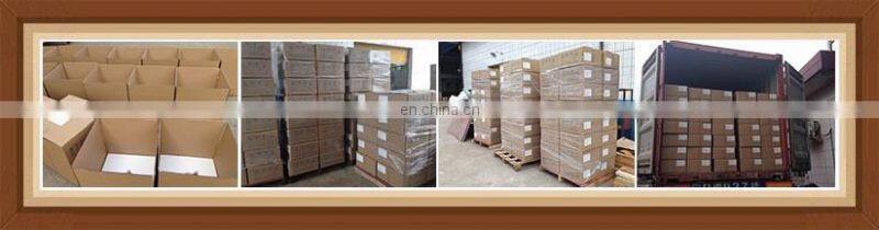 Agricultural Greenhouse Wall Hydroponic Growing Systems