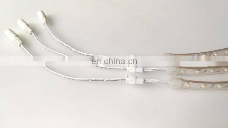 ip67 waterproof smd3528 customized led strip with 2 pin jst connector cable