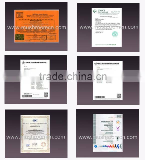 Good quality Dried Lion's Mane mushroom