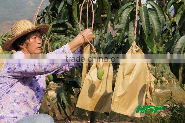 Malaysia Vietnam Sri Lanka kraft paper mango protection bag
