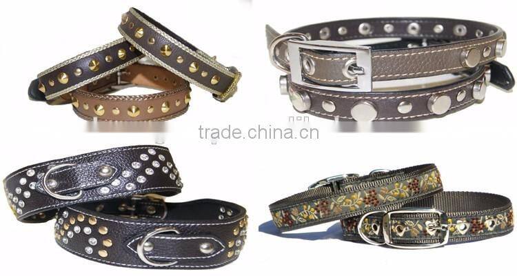 Hign end Fashion Adorable dog training collar