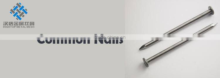 round head iron nails wire nails common nails