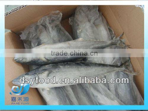 Frozen good quality pacific mackerel fillet