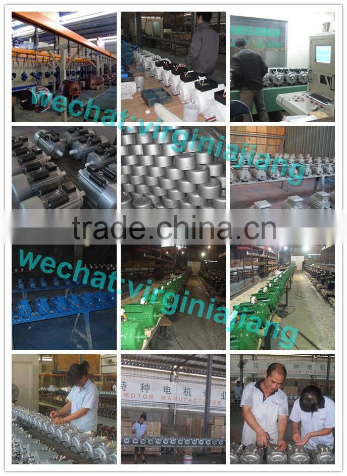 YC 0.5hp single phase 2850rpm electrical motor