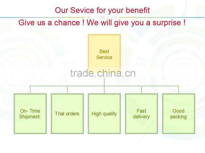 Brick Shaped Portable Gas Pizza Ovens Sale