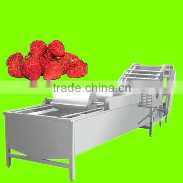 strawberry roughly rinsing machine/strawerry washing machine