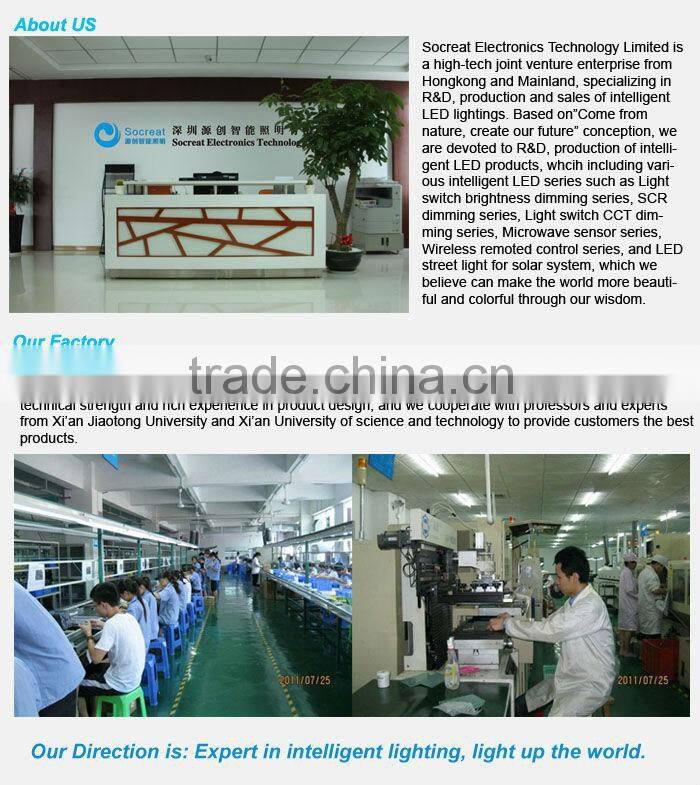 amusement park led light