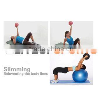 gym ball/soft weight ball
