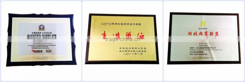 Valve Regulated Lead Acid Battery 12v