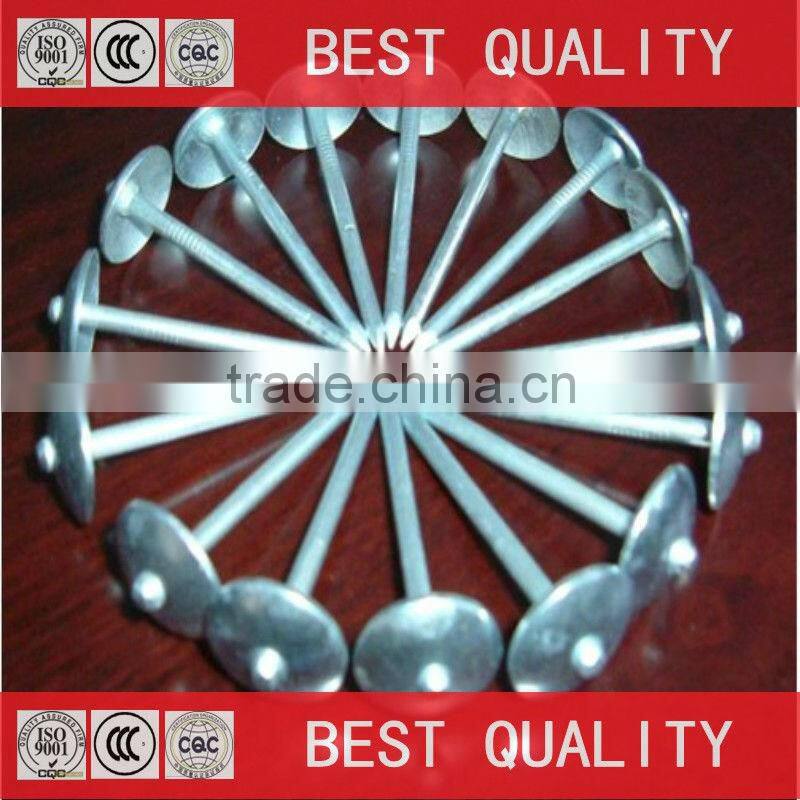 export africa Ghana Umbrella roofing nails