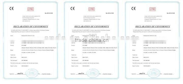 Practical 2-Runner Heavy Duty Tractors/Trucks/Forklift Loading Ramp