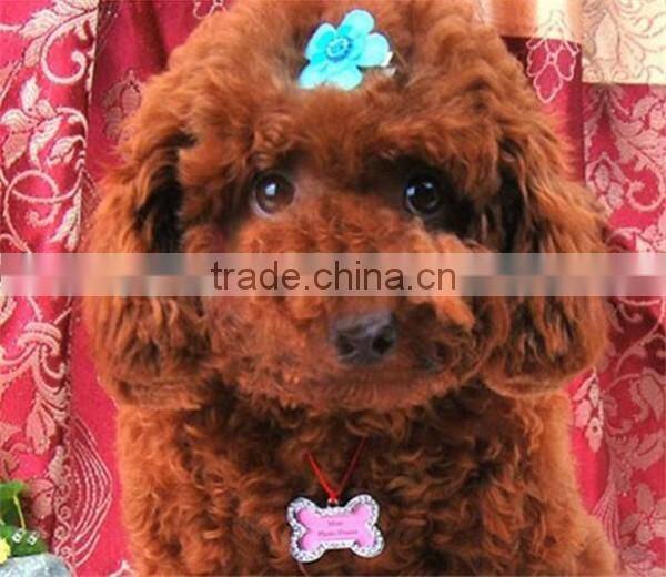 32x20mm pet tags Rhinestone Bone-shaped Necklace Pendant Charm Pet Dog Cat ID Tag