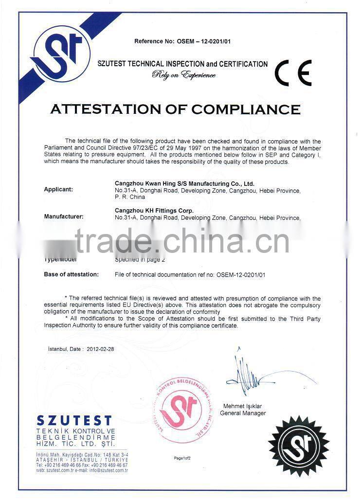 STAINLESS STEEL Casting Pipe Fittings 1" 316 Y TYPE STRAINER