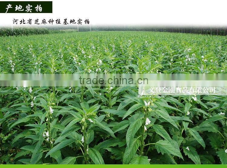 100% pure sesame oil/cooking oil/bulk