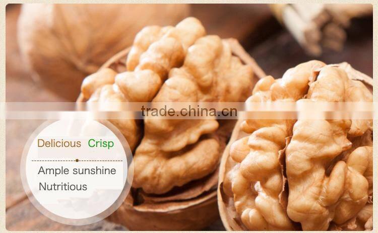 New crop walnut buy for sale