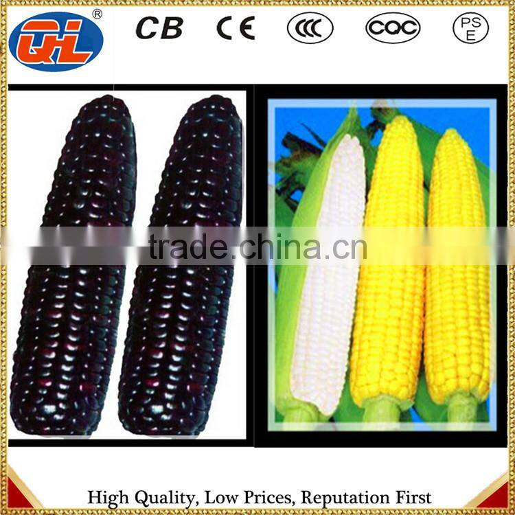 Frozen sweet corn production line|Frozen waxy corn production line