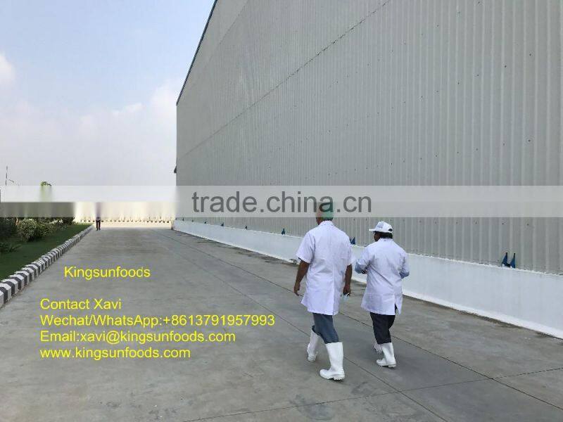 Grade A HOSO Vannamei,Shrimp Vannamei From India