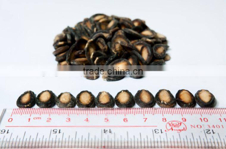 2016 new crop black melon seed from China