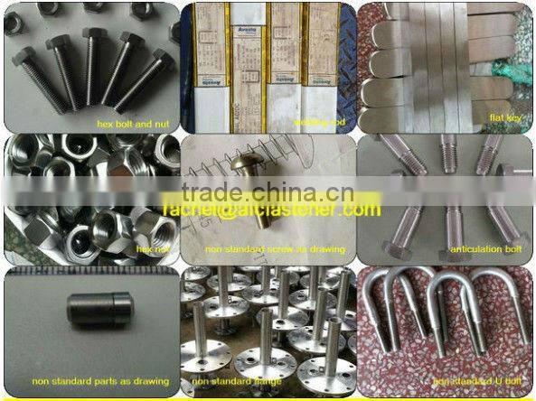 din1.4539 hex acorn cap nuts cap nut M8 dome cap nuts