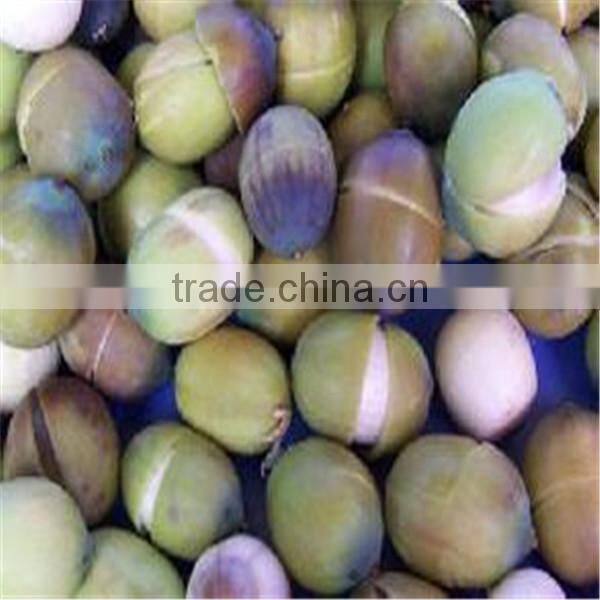 China Brand Competitive Price dry lotus nut sheller with CE Certificate!