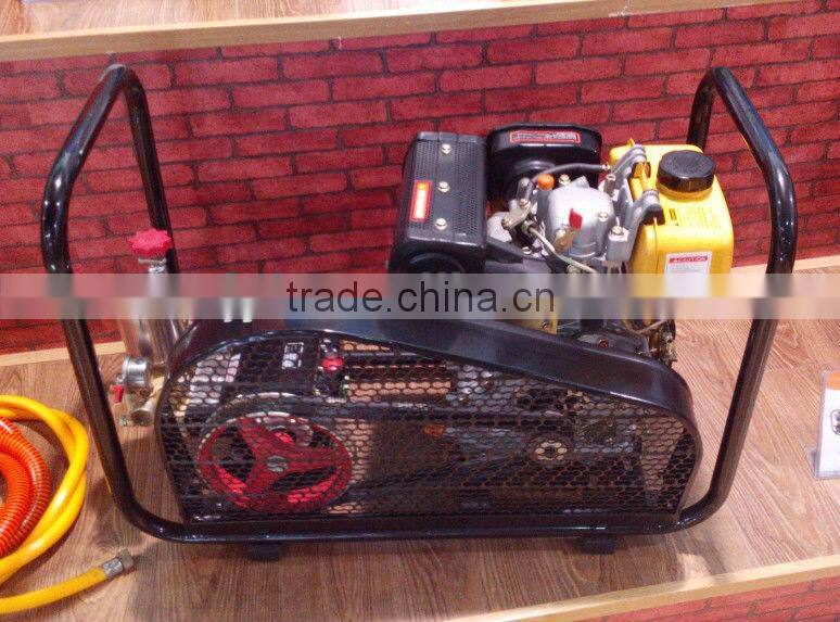 Stretcher Power Sprayer YL-22DE