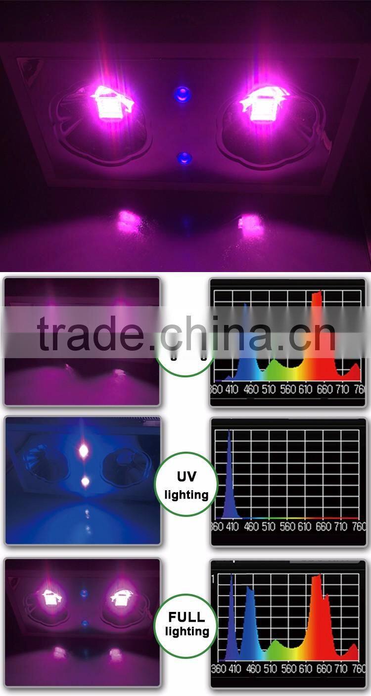 Zeus Led Grow Light Reviews Uv Led Grow Lights For Aquaponics