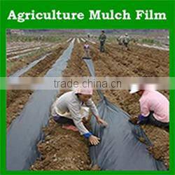 agricultural invisible plastic hdpe bird nett for tree