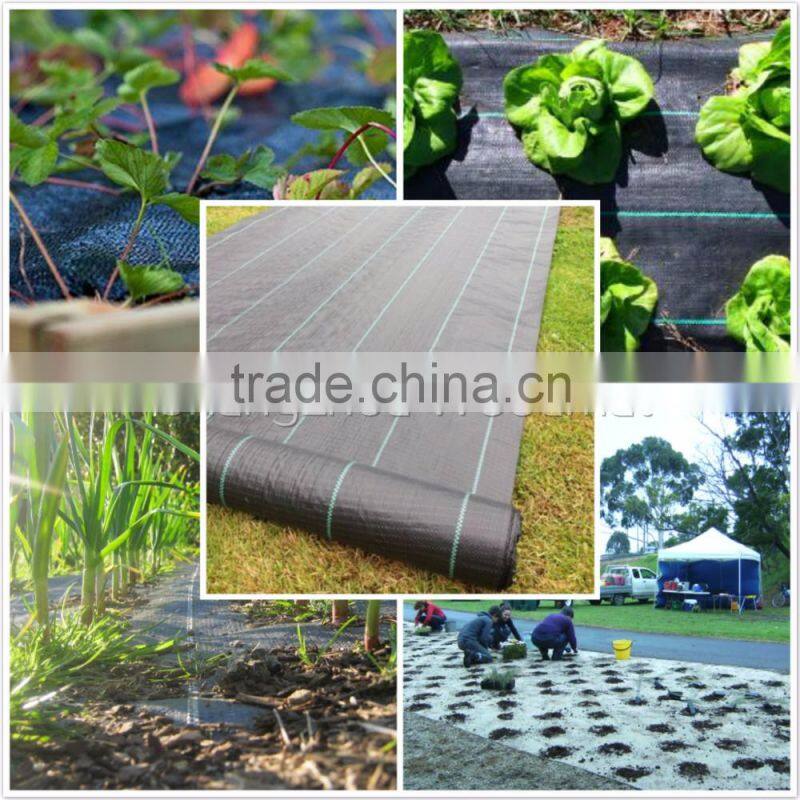 2016 New style black plastic mulch film