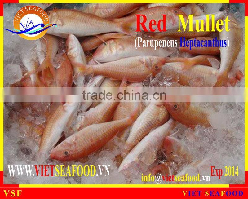 FROZEN RED MULLET WHOLE ROUND