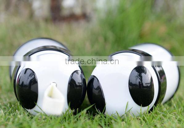 Stainless Steel Vacuum Flask Thermos Flask LYR-JP528