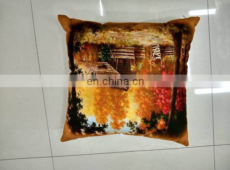 Wholesale Custom Printed Decorative Throw Pillow