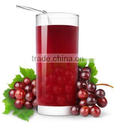 Hot selling Grape Juice Extractor machine/juice extractor machine for grape/grape juicing machine