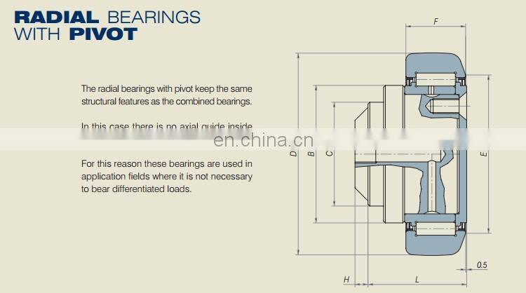 Combined roller bearings RADIAL BEARING WITH PIVOT 200-1643
