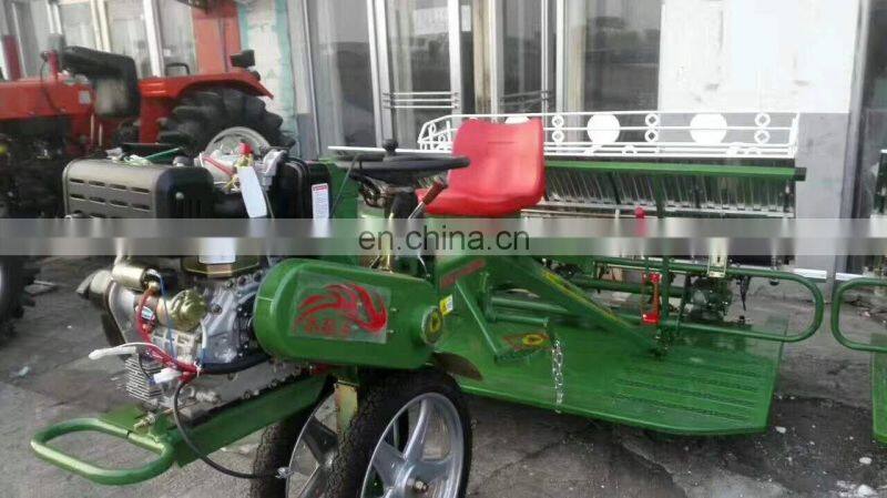 Manual portable rice planting machine/paddy planter/high speed rice planter