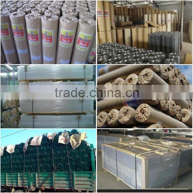 Cheap galvanized welded wire mesh for bird cage, rabbit cage, animal cage